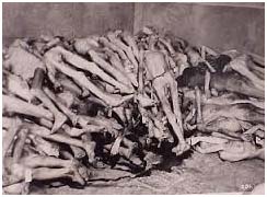 pile of dead bodies