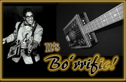 Bo Diddley performing