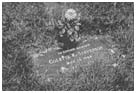 Collette MacDonald grave