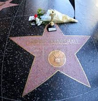 Garry Marshall star on Hollywood Walk of Fame