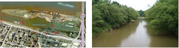 Wolf River Harbor