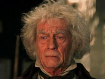 John Hurt, Harry Potter