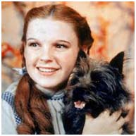 Judy Garland as Dorothy in The Wizard Of Oz