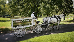 Michael Brown funeral