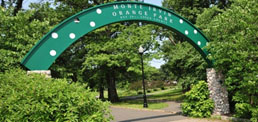 Monte Irvin park