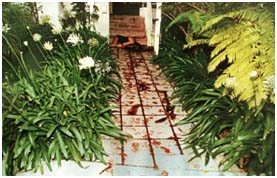 Nicole Brown Simpson Crime Scene