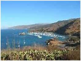 Santa Catalina Island's Emerald Bay in California