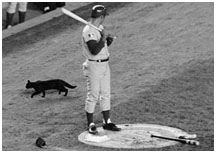 Ron Santo standing near black cat at Shea Stadium