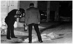 Sal Mineo dead at crime scene