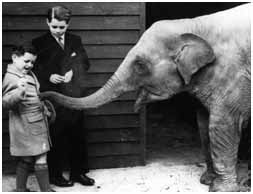 Ted Kennedy with brother Bobby as kids